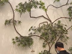 -耳艺采耳·足疗(市桥店)