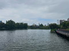-四海公园(南山区)
