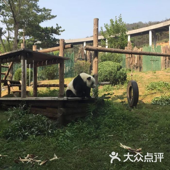 大連森林動物園