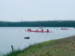 -上海海湾国家森林公园