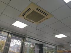 -美美宠物诊疗中心·异宠·骨科(滨江东信分院)