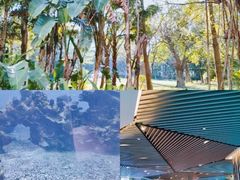 -海棠湾洲际-涛·海底餐厅·美人鱼·自助餐·海底隧道