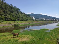 -新安江山水画廊风景区