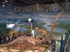 -自贡恐龙博物馆