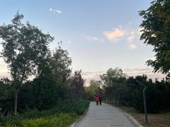 -永定河休闲森林公园