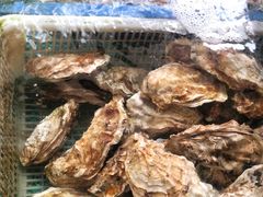-公寓家常菜馆(海军博物馆店)