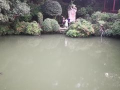 -杭州黄龙洞
