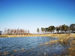 -春花秋色城市公园