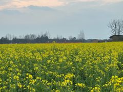 -中国天府农业博览园