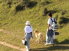 -大姆山草场