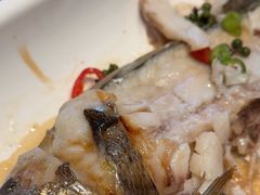 -味到1981日照海鲜·渔饺子