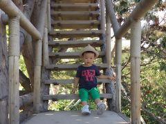 -武清南湖绿博园