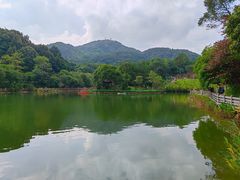 -广州市帽峰山景区