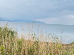 -月亮湾湿地公园