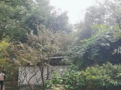 -上海醉白池公园