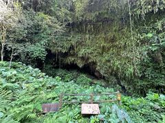 -海口火山口国家地质公园
