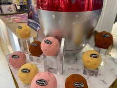 -哈根达斯(武汉天地店)