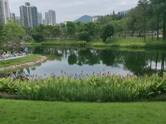 -四海公园(南山区)