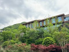 -宁海安岚·南溪阁全日餐厅