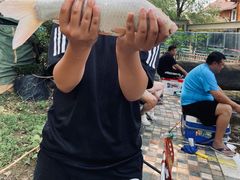 -酷鱼垂钓CLUB(朝阳区博大路店 )