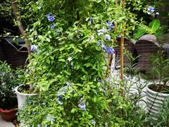 -一粥(华侨城创意文化园店)