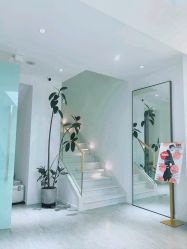 点击看大图 -IDOL PLUS