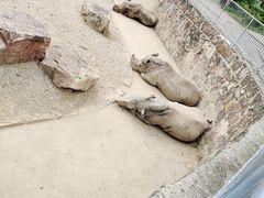 -无锡动物园·太湖欢乐园