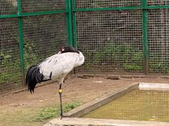 -青藏高原野生动物园