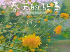 -颐和园