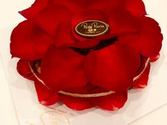 -PETIT PARIS 小巴黎(凯德1818店)