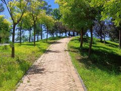-东郊湿地公园