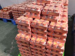 -北京圣祥乳制品厂