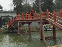 -盆景园(扬州大运河文化旅游度假区)