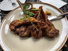 -bluefrog蓝蛙(水游城店)