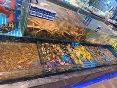 -望海湾鱼头泡饼·天津菜(空港店)