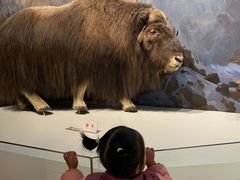 -陕西自然博物馆