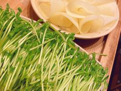 活体盆栽豆苗-蜀大侠火锅(四川北路店)