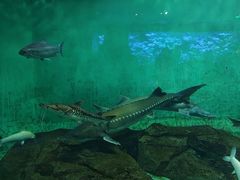 -太平洋海底世界