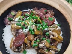 -红星光发煲仔饭(大石街店)
