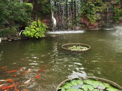 -碧江金楼