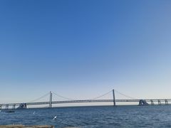 -星海湾跨海大桥