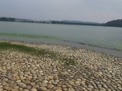 -东湖落雁景区