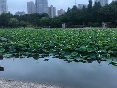 -昆山城市公园