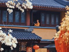 -灵谷景区