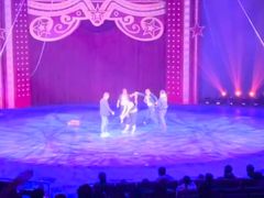 -珠海横琴长隆《卡卡虎奇遇记》