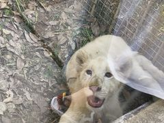 -泉州海丝野生动物世界