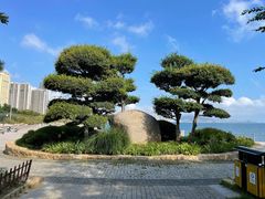 -悦海公园