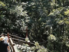 -石燕湖生态旅游景区