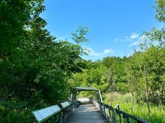 -西湖风景区-江洋畈生态公园