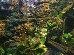 -苏州海洋馆